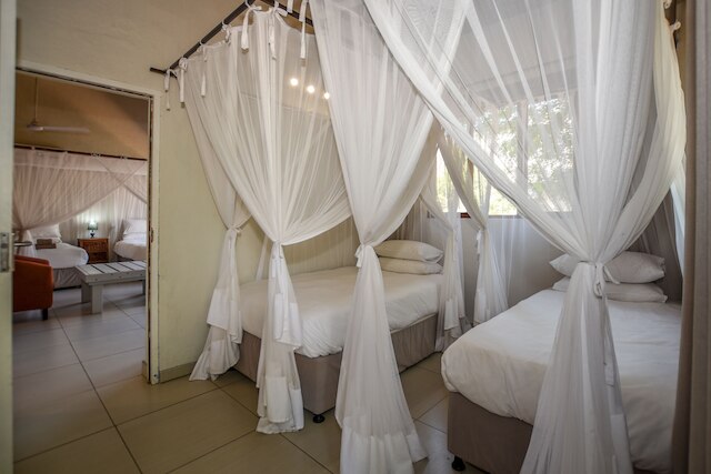 レオパーズ レアー ブッシュ ロッジ