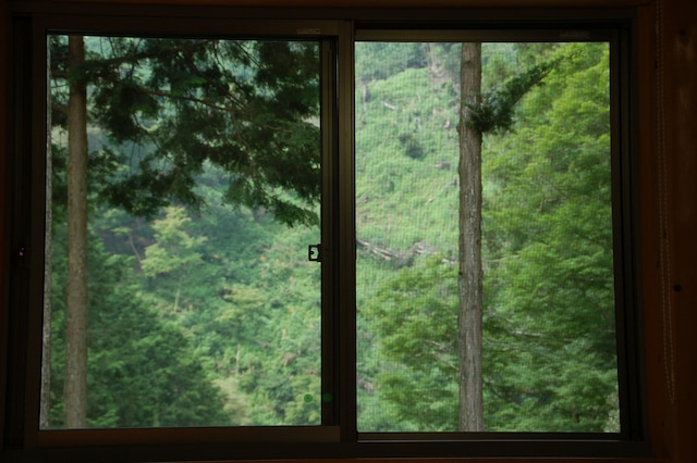 B&Bゲストハウス森の駅