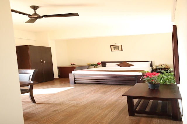 コーヒー ビーン イン