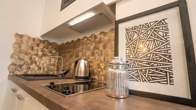 フレイ ホームズ シティ センター プラッツ ズバウィチエラ