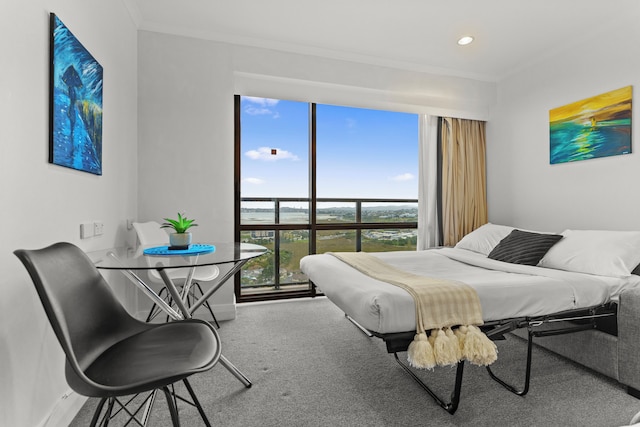 シー シティ ビューズ タカプナ スタジオ W カーパーク