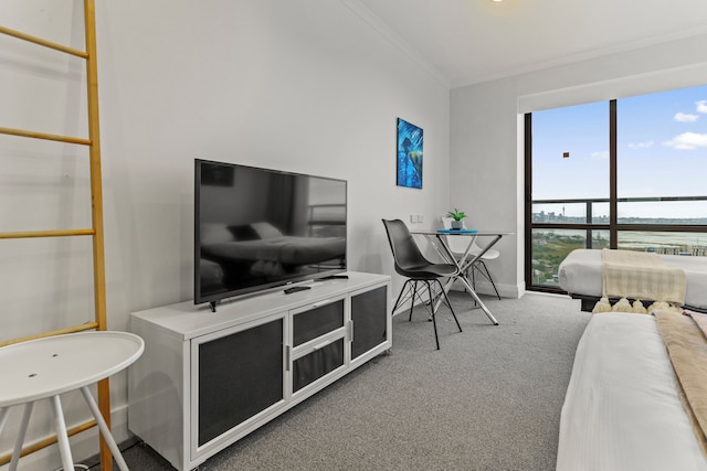 シー シティ ビューズ タカプナ スタジオ W カーパーク