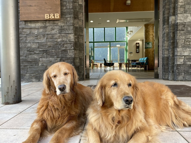 花園グリーンパーク(リバーサイドホステルB&B)