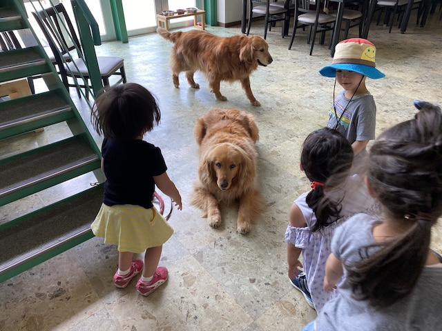 花園グリーンパーク(リバーサイドホステルB&B)