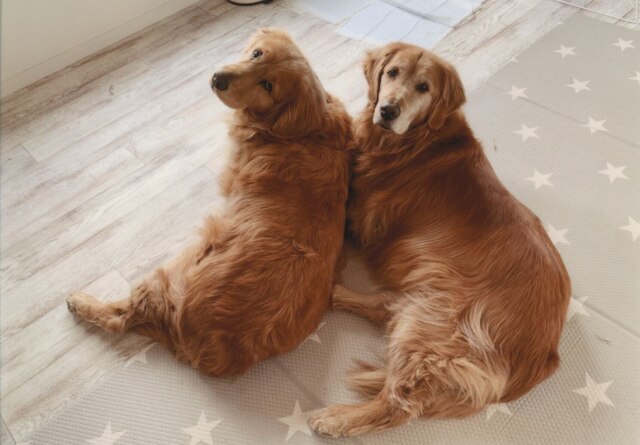 花園グリーンパーク(リバーサイドホステルB&B)