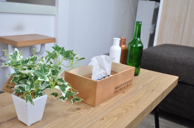 AMS Hiragishi 11 502