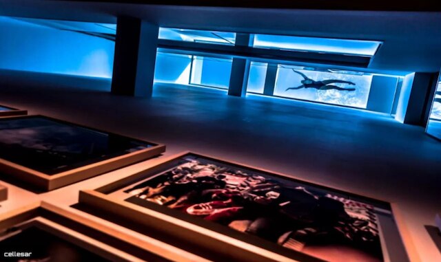 ウェルドン クオリティ - クリスタル プール