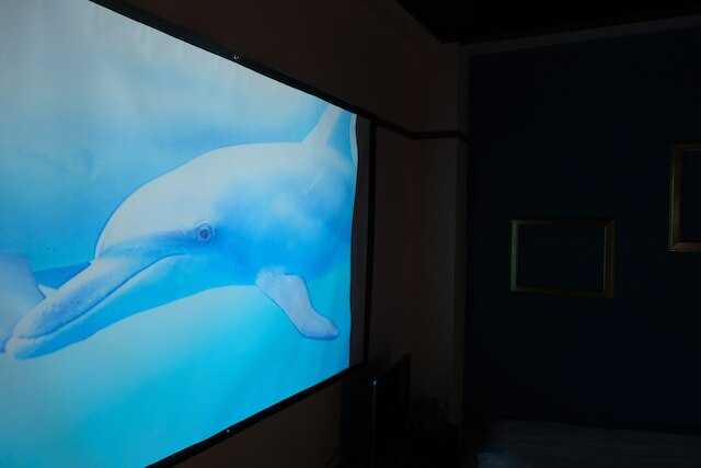 Local Nishijin Apartment