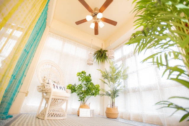 ホワイトハウス