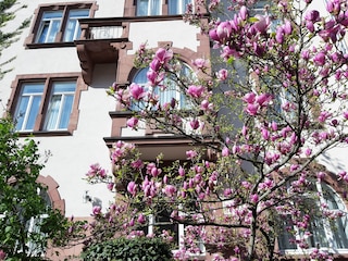 ホテル ロバート マイヤー