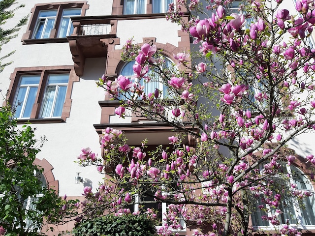 ホテル ロバート マイヤー