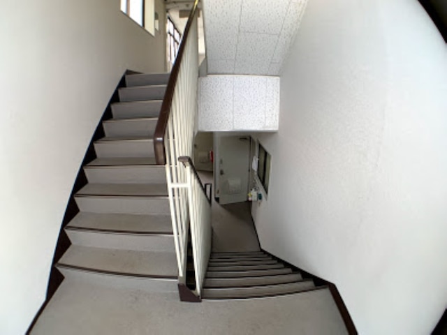 Big Stone Tsukuda 303