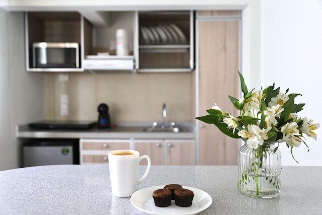 ジーブ ラックス 1 ベッドルーム フラット アット レフォルマ