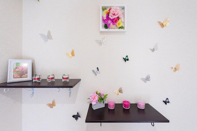 Papillon Paradis Hakone