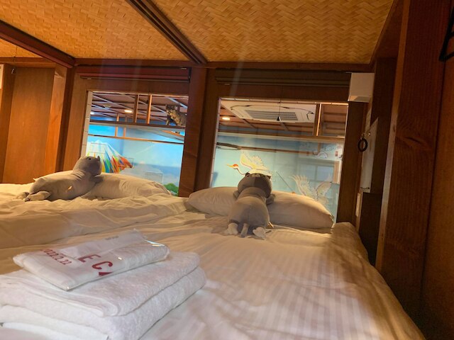 ねこ浴場 & ねこ旅籠 保護猫カフェ ネコパプリック大阪