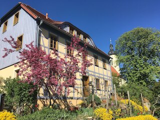 イン デア アルテン ヴァインシュトゥーベ