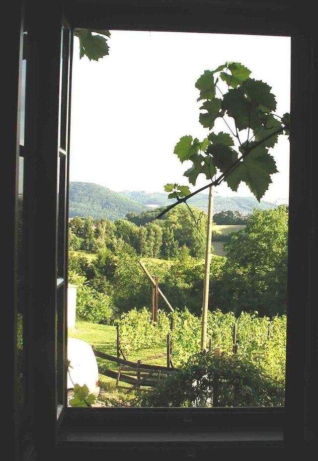 イン デア アルテン ヴァインシュトゥーベ