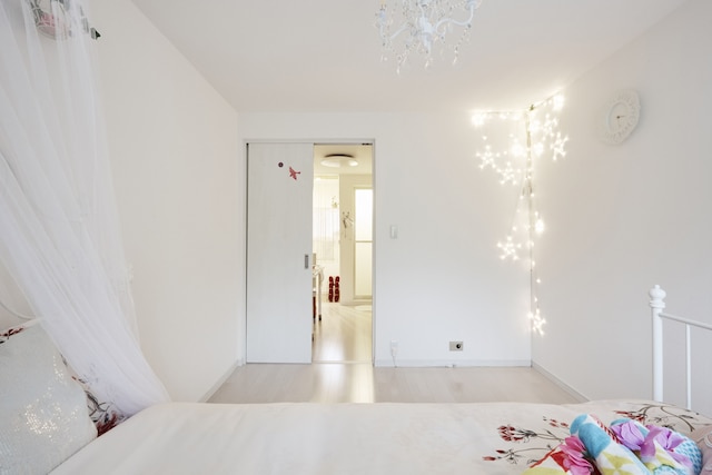 The Green Wonderland Shinjuku