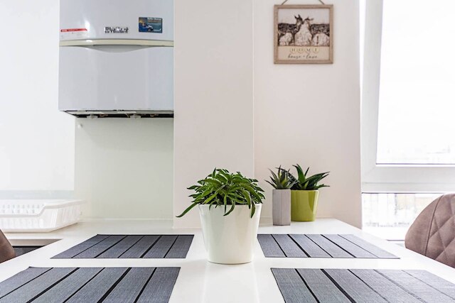 マグニフィセント アンド セントラリー ロケーテッド フラット