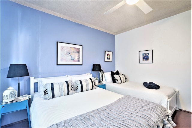 ボンダイ ビーチ オアシス