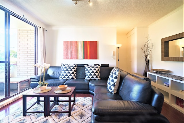 ボンダイ ビーチ オアシス