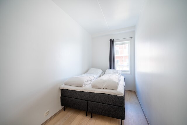 アークティック ホームズ