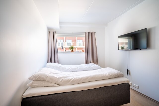 アークティック ホームズ