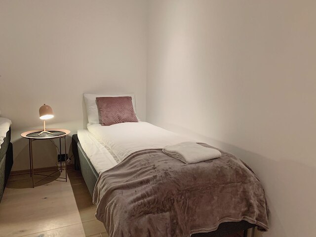 アークティック ホームズ ホームステイ ヴィラ