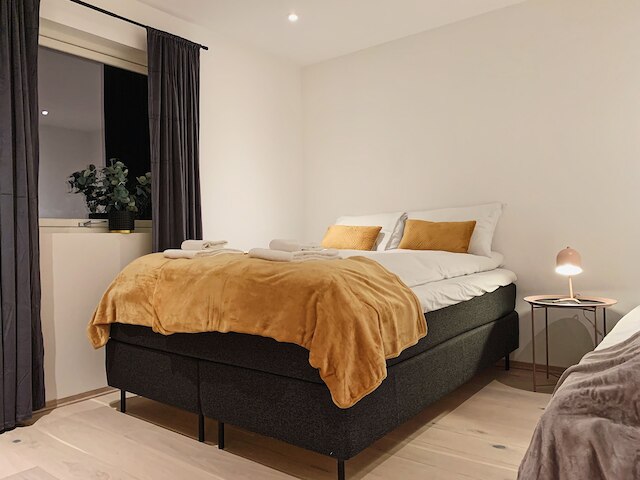 アークティック ホームズ ホームステイ ヴィラ