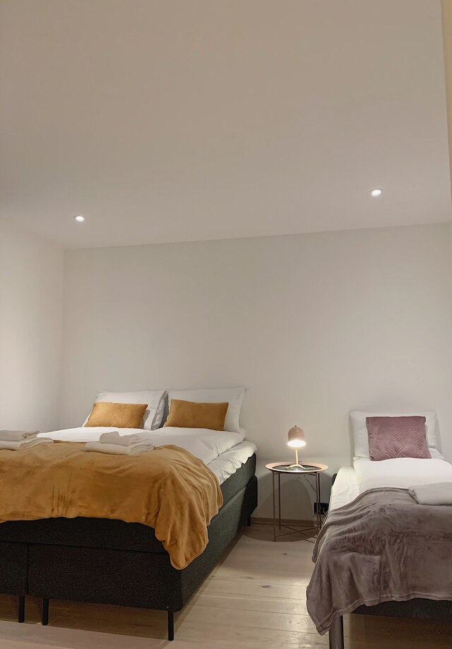 アークティック ホームズ ホームステイ ヴィラ