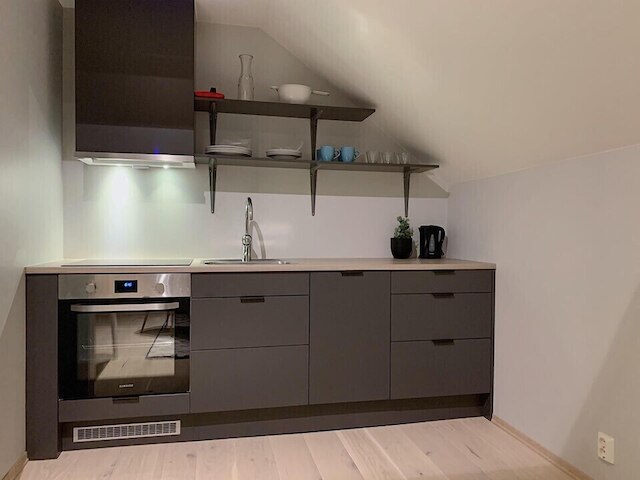 アークティック ホームズ ホームステイ ヴィラ