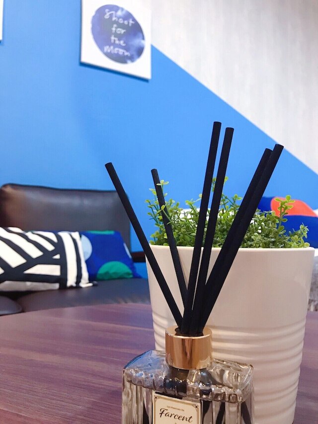 Ha Ha Cat Home Kaifeng