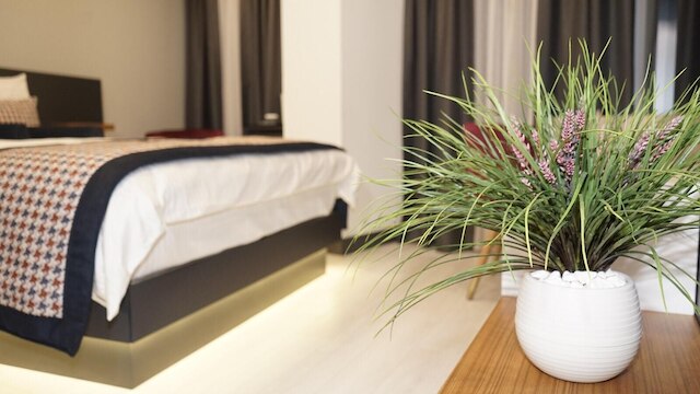 ラスト・ヴィータ