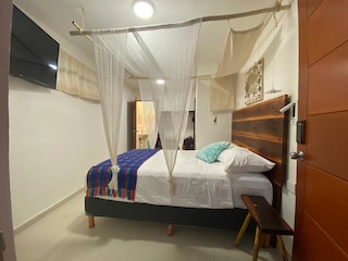 カーサ フィッツ