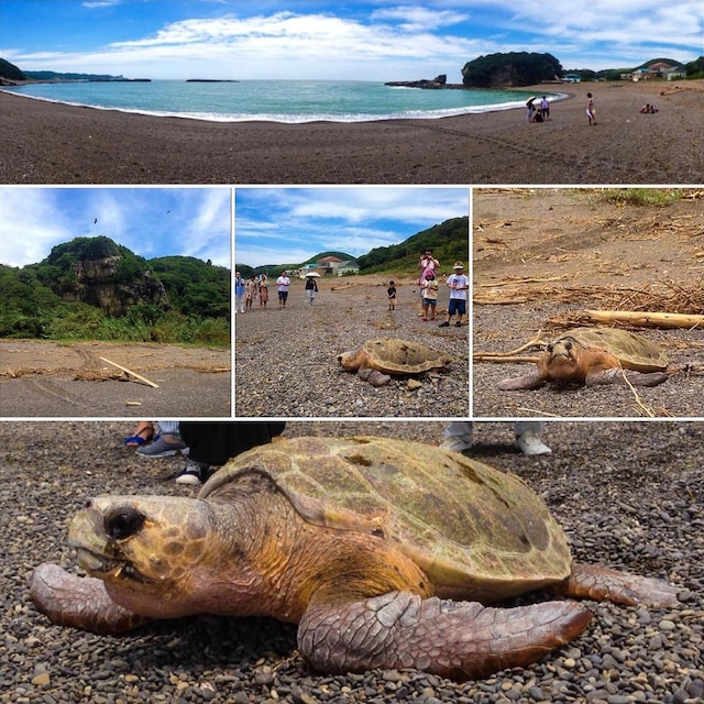 秘境カフェ権現平