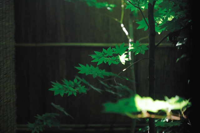 つきひの家 京都