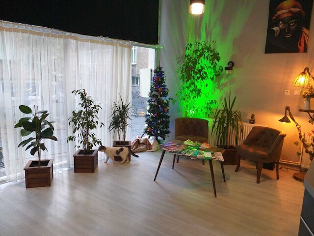 ジオン ホーム ブティック オテル