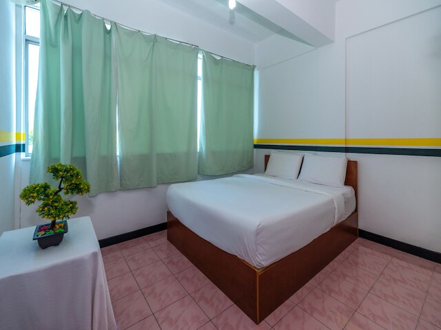 スポット オン 89936 ステラ イン