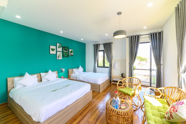 キヴィ ホームステイ