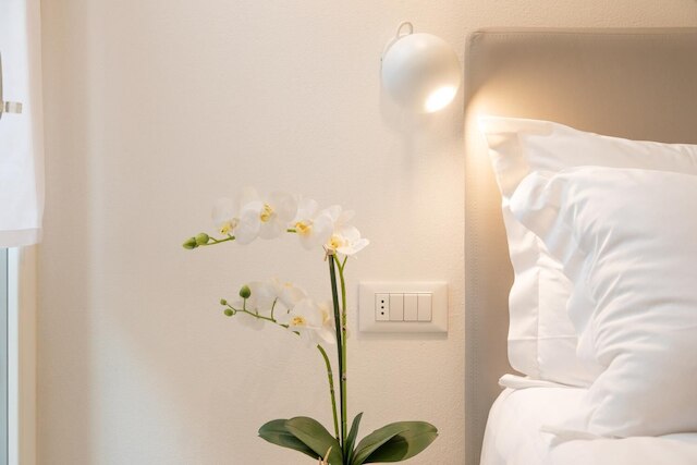 サン マルコ デザイン スイーツ