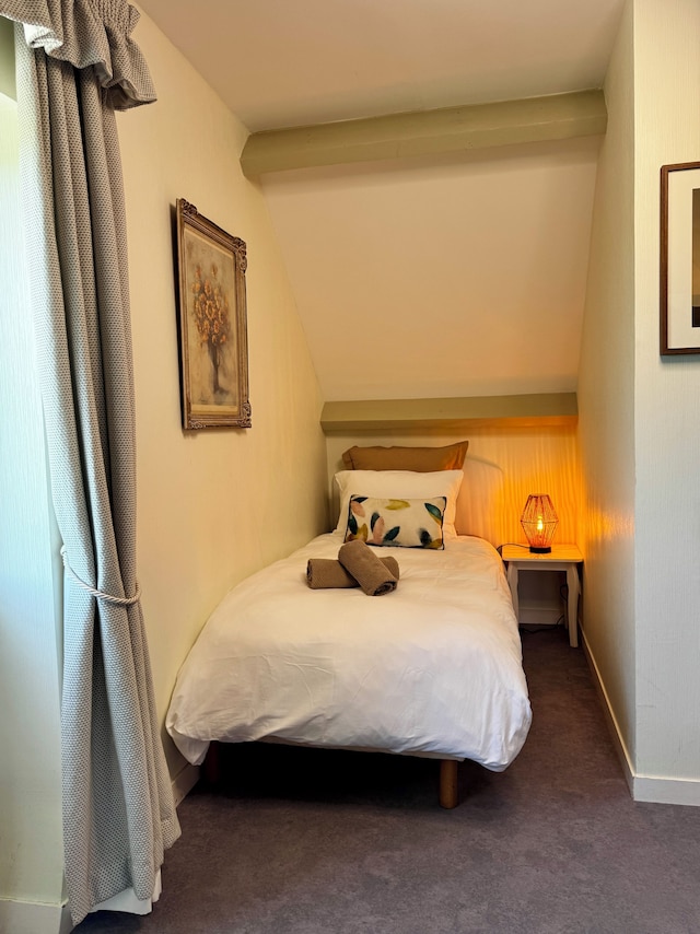 レ ヴィエイユ ディグ