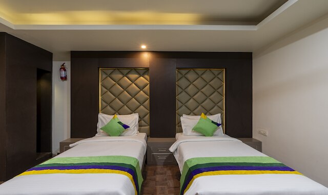 ツリーボー キングス オーキッド