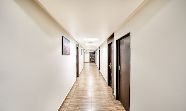 ツリーボー キングス オーキッド