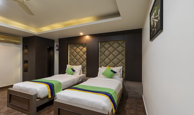 ツリーボー キングス オーキッド