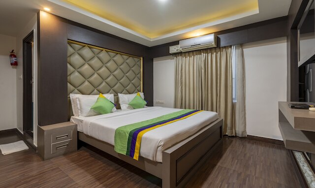 ツリーボー キングス オーキッド