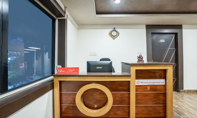 ツリーボー キングス オーキッド