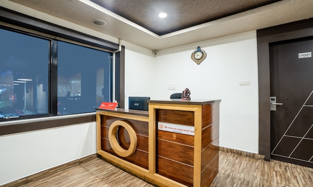 ツリーボー キングス オーキッド