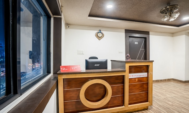 ツリーボー キングス オーキッド