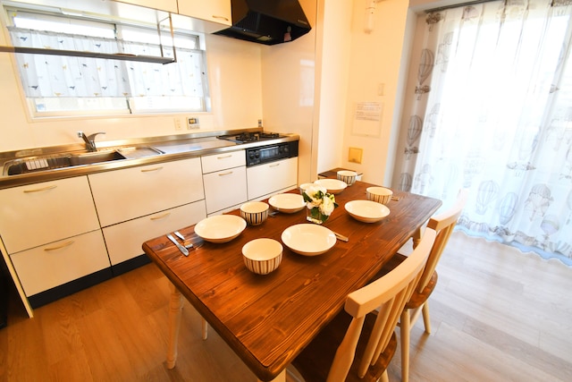 Beau Belle Nagahori 1002