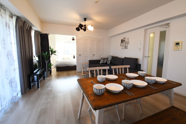 Beau Belle Nagahori 1002